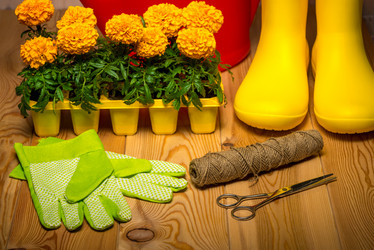 Similar image 20974717