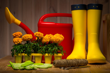 Similar image 20974718