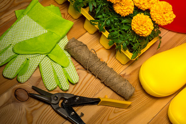 Similar image 20974720