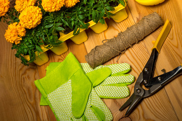 Similar image 20974721