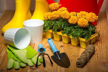 Similar image 20974722