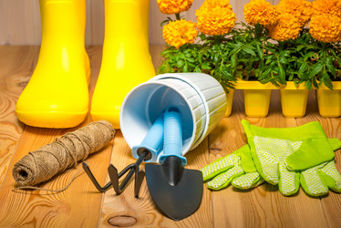 Similar image 20974723