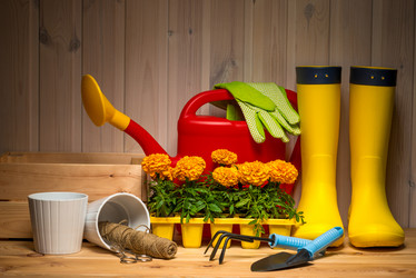 Similar image 20974724