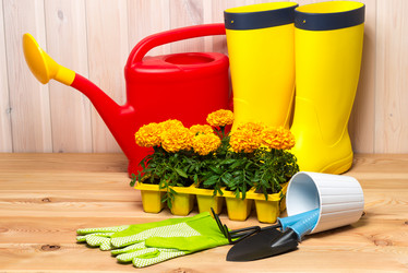 Similar image 20974729