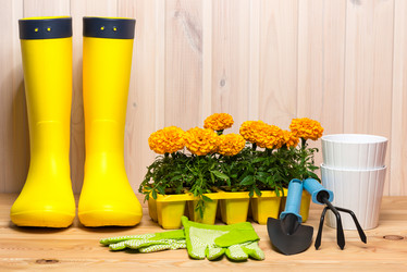 Similar image 20974730