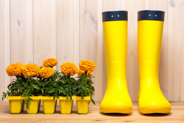 Similar image 20974731