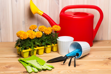 Similar image 20974732