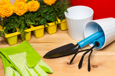 Similar image 20974733