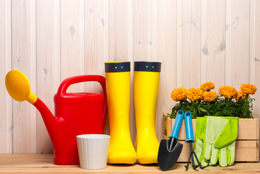 Similar image 20974736