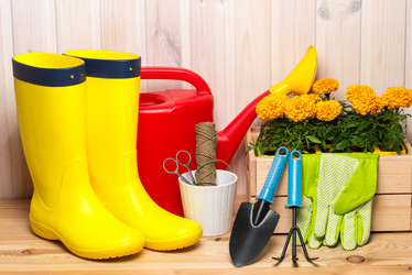 Similar image 20974737