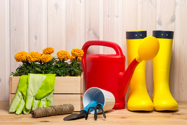 Similar image 20974738