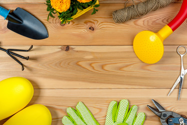 Similar image 20974747