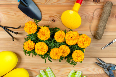 Similar image 20974748