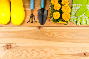 Similar image 20974749