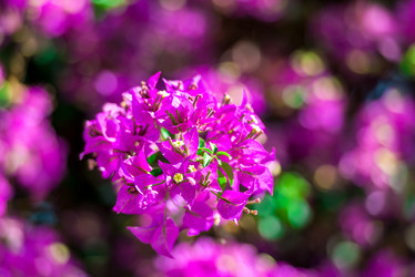 Similar image 20975048