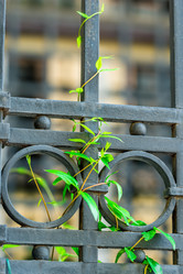 Similar image 20975054