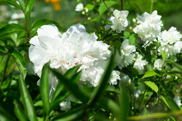 Similar image 20980032