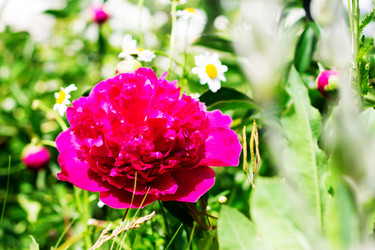 Similar image 20980035