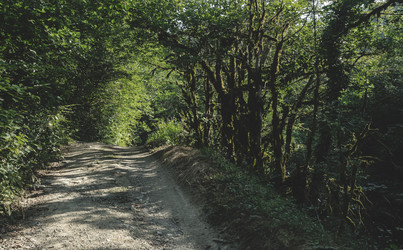 Similar image 20980042