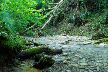 Similar image 20980044