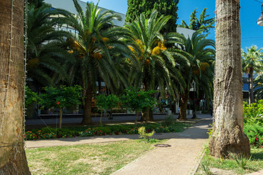 Similar image 20980048