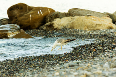 Similar image 20980049