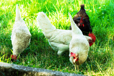 Similar image 20980056