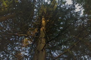 Similar image 20980059