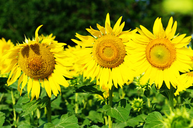 Similar image 20980061