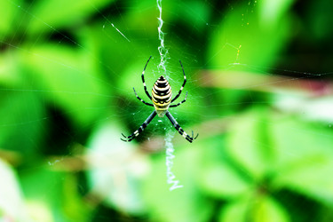 Similar image 20980062