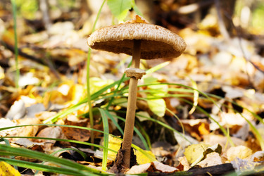 Similar image 20980063