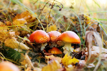 Similar image 20980064