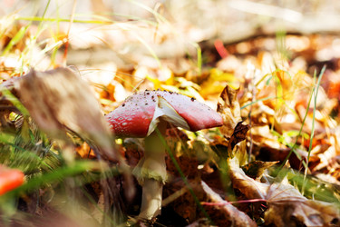 Similar image 20980065