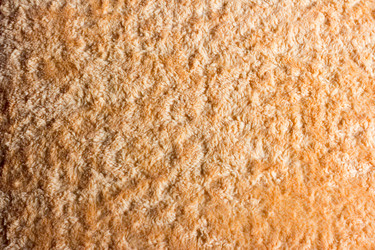 Similar image 20980067