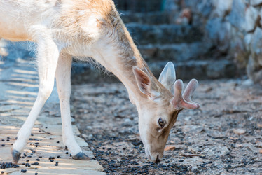 Similar image 20974800