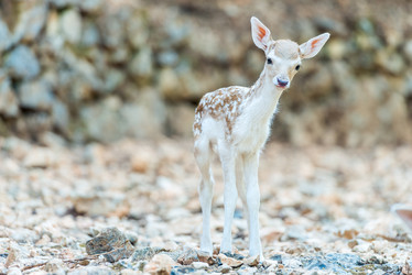 Similar image 20974802