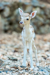 Similar image 20974803