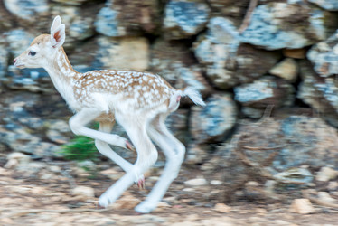 Similar image 20974805