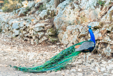 Similar image 20974806