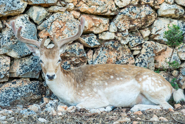 Similar image 20974807