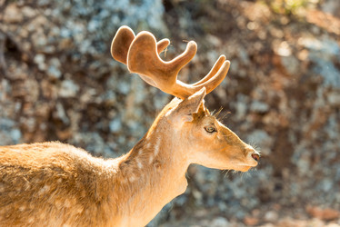 Similar image 20974808