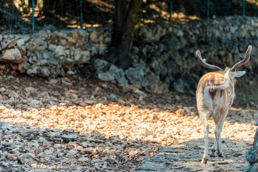 Similar image 20974809