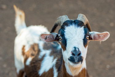 Similar image 20974811