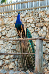 Similar image 20974815