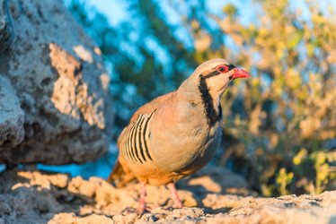 Similar image 20975238