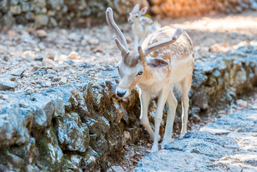 Similar image 20974845