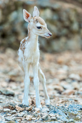 Similar image 20974846