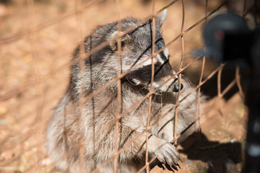 Similar image 20974850