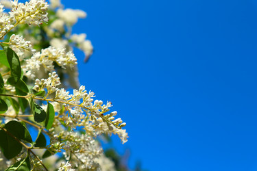 Similar image 20979313