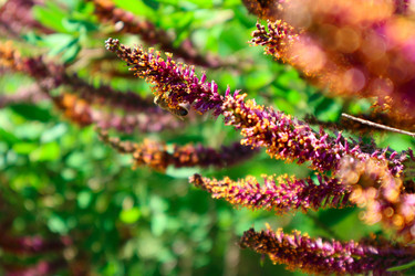 Similar image 20979314